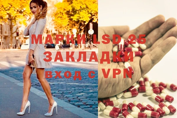гашик Алексеевка