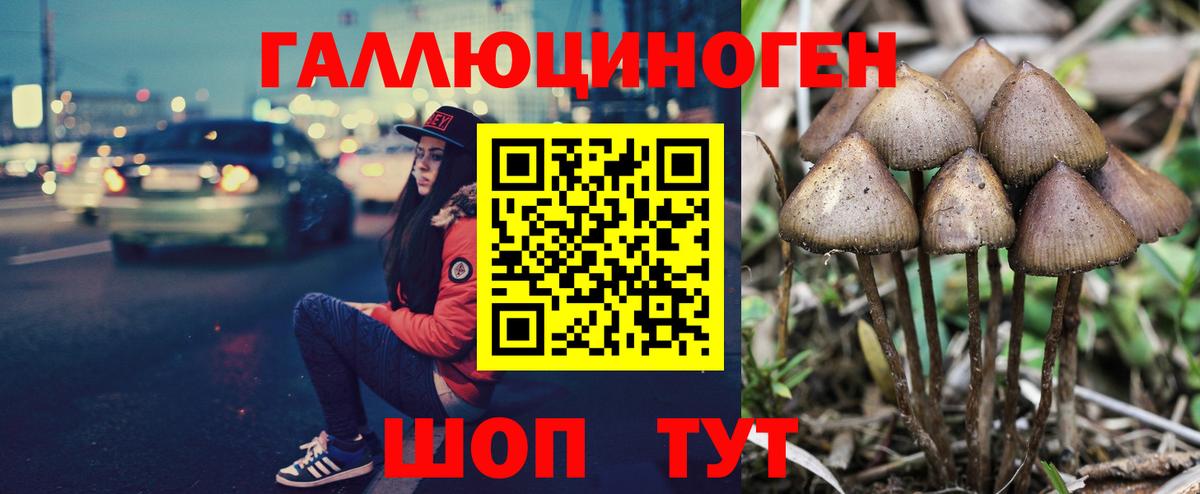 Галлюциногенные грибы Psilocybe  Вход с VPN  Гуково 