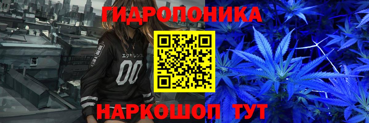 Бошки марихуана Bruce Banner  Вход с VPN  Гуково  Бошки марихуана план  Канабис OG Kush  Канабис OG Kush 